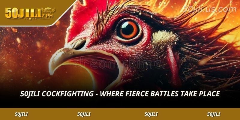 Cockfighting games at 50JILI