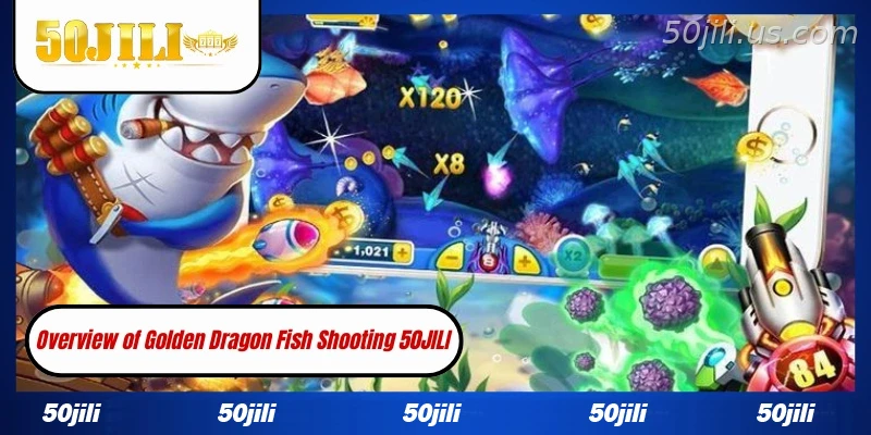 Introduction to Golden Dragon Fish Shooting 50JILI